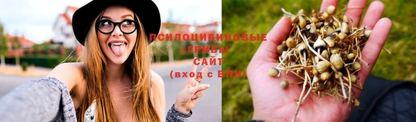 мяу мяу мука Алзамай