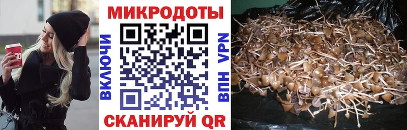 Галлюциногенные грибы MAGIC MUSHROOMS  Камбарка 
